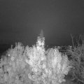 Webcam_20191113-173000