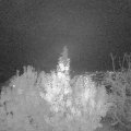 Webcam_20191113-183000