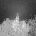 Webcam_20191113-193000