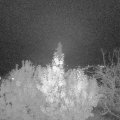 Webcam_20191113-200000