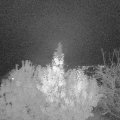Webcam_20191113-203000
