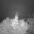 Webcam_20191113-213000