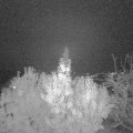 Webcam_20191113-220000