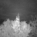 Webcam_20191114-050000