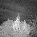 Webcam_20191114-060000