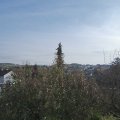 Webcam_20191114-110000