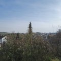 Webcam_20191114-113000