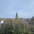 Webcam_20191114-150000