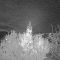 Webcam_20191114-190000