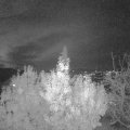 Webcam_20191114-193000