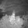 Webcam_20191114-200000