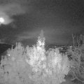 Webcam_20191114-203000
