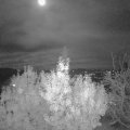 Webcam_20191114-220000