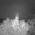 Webcam_20191115-060000