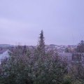 Webcam_20191115-073000