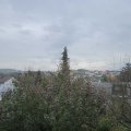 Webcam_20191115-120000