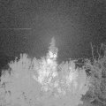 Webcam_20191116-050000
