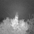 Webcam_20191116-053000