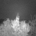 Webcam_20191116-060000