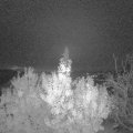 Webcam_20191116-063000