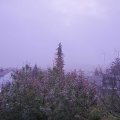 Webcam_20191116-073000