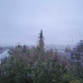 Webcam_20191116-080000
