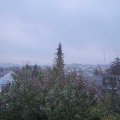 Webcam_20191116-083000