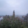 Webcam_20191116-090000