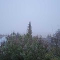 Webcam_20191116-100000