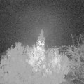 Webcam_20191116-180000