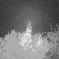 Webcam_20191116-183000