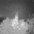 Webcam_20191116-210000