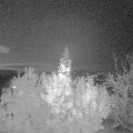 Webcam_20191116-213000