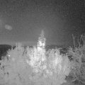 Webcam_20191116-220000