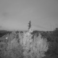 Webcam_20191117-170000