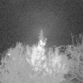 Webcam_20191117-200000