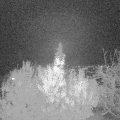 Webcam_20191117-210000