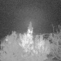 Webcam_20191117-213000