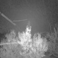 Webcam_20191118-050000