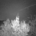Webcam_20191118-053000