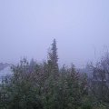 Webcam_20191118-080000