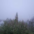 Webcam_20191118-083000
