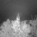 Webcam_20191118-173000