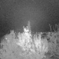Webcam_20191118-183000