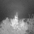 Webcam_20191118-190000