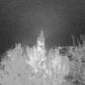Webcam_20191118-203000