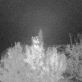 Webcam_20191118-210000