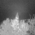 Webcam_20191118-213000