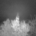 Webcam_20191119-050000
