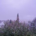 Webcam_20191119-073000